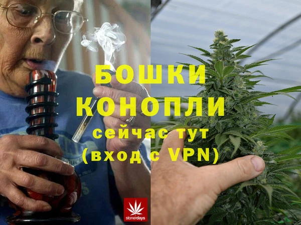 трава Инта