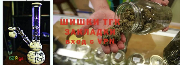 трава Инта