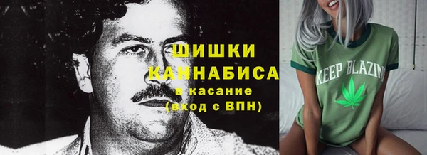 трава Инта