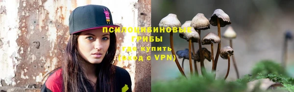 трава Инта