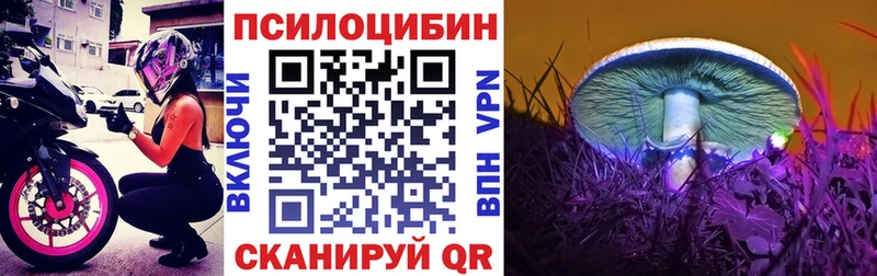 Купить где  Кедровый  Псилоцибиновые грибы прущие грибы 